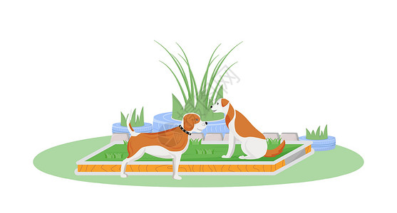 狗护理草坪上的狗平面颜色矢量特征设计图片
