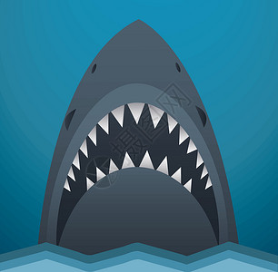 鲨鱼头它制作图案的鲨鱼图标矢量捕食者插图卡通片钓鱼生活牙齿标识蓝色吉祥物荒野设计图片