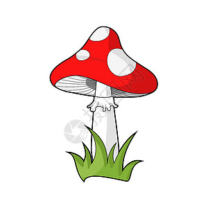毒蝇伞红色虚线蘑菇毒菌矢量卡通剪贴画 有毒的鹅膏菌或飞木耳 在白色图形插图上隔离设计图片