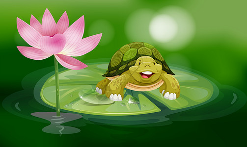 荷花叶在池塘露露叶上漂浮的乌龟热带花瓣荷花花园叶子植物群青蛙野生动物公园插图设计图片