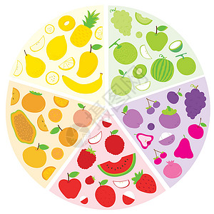 芒果榴莲一套夏季水果和健康食品有机卡通 Vecto浆果圆圈橙子李子奇异果山竹榴莲柿子西瓜卡通片设计图片