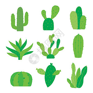 番西花PotCartoon 矢量中的仙人掌和植物集肉质叶子花盆植物沙漠绿色涂鸦卡通片植物学花园设计图片