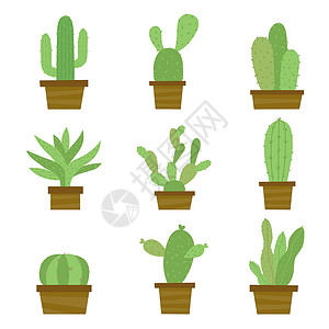 番西花PotCartoon 矢量中的仙人掌和植物集沙漠花盆绿色叶子植物学涂鸦植物群植物花园卡通片设计图片