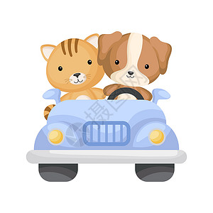 貓狗可爱的猫狗司机在车上 儿童 b 的图形元素设计图片