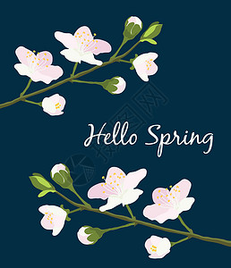 盛开杏仁枝樱花 香草枝和粉红色花朵 还有白色的刻画品 哈罗·斯普林在深蓝色背景上 欢迎卡片矢量 EPS10 春季设计模板设计图片