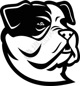 混种狗美国野牛斗牛犬 黑白马斯科特设计图片