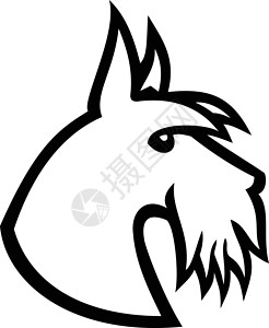 波士顿梗犬苏格兰 Terrier 头黑白设计图片