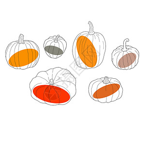 成熟的南瓜Pumpkin 透明集 在白色 b 上孤立的矢量插图蔬菜橙子打印假期卡通片感恩花园葫芦草图节日设计图片