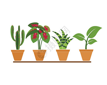 仙人掌植物盆栽安装在锅点图标徽标矢量插图设计中的工厂中白色盆栽生长植物群收藏抄本园艺花园绿色植物学设计图片