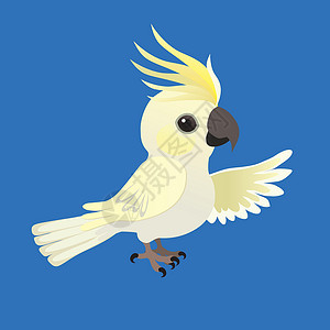 一只可爱的硫磺凤头鹦鹉的插图设计图片