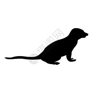 苏里卡塔剪影猫鼬在姿势黑色矢量插图平面样式 imag好奇心鼻子宠物情调动物园站立异国动物野生动物动物学设计图片