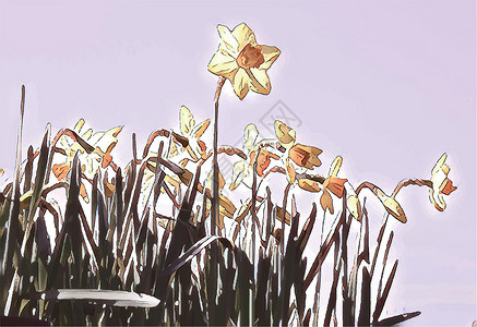 春季新鲜香椿在春季和自然的金盏花晴天康复花瓣花园阳光药品宏观植物植物群草地设计图片