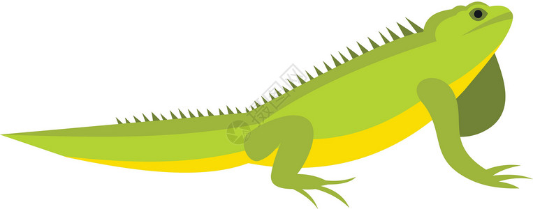 水陆庵平面样式中的变色龙图标动物学生物动物群小袋配种濒危森林野生动物脊椎动物幼虫设计图片