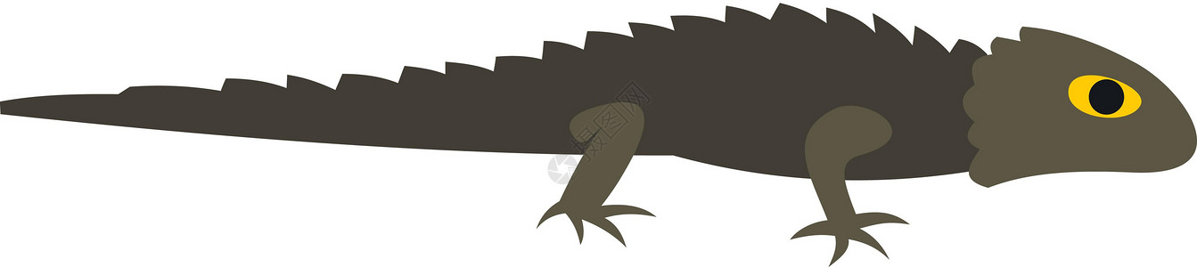小档口平面样式中的蝾螈图标水族馆尾巴配种荒野环境保护生物学动物学游泳森林设计图片