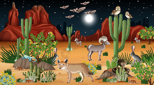鼠鸟目在夜场面的沙漠森林风景与野生动物设计图片