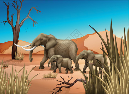 鼻齿兽沙漠中的大象地面森林哺乳动物沼泽地鼻类土地植物象科长鼻象牙设计图片