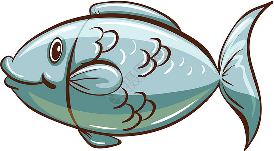 活鳗一条鱼水产养殖神灵避难所下巴渔夫叶鳍动物冷血颅骨设计图片