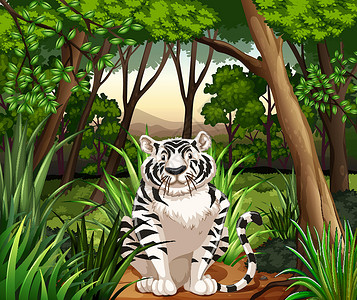 白色老虎老虎微笑卡通片食肉生物白色绘画丛林荒野猎人森林设计图片