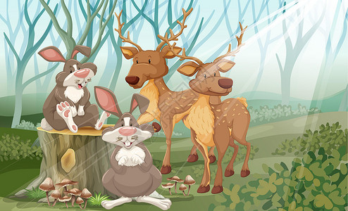 蒂朱卡森林动物海报绘画兔子荒野树叶墙纸阳光树木卡片生物设计图片