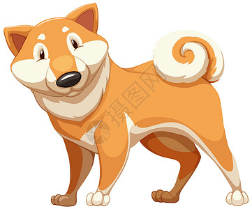 柴犬狗棕色豪宅小狗忠诚猎犬肌肉白色宠物伴侣绘画手指家犬设计图片