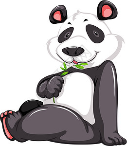 坐着的熊猫可爱的熊猫身体食肉植物性叶子动物哺乳树叶哺乳动物食物鼻子设计图片