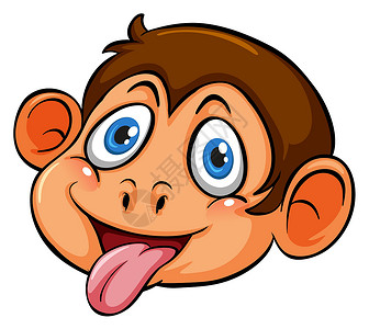 桔梗一个顽皮的和尚的头舌头狨猴侏儒哺乳动物动物耳朵鼻子森林狒狒人猿设计图片