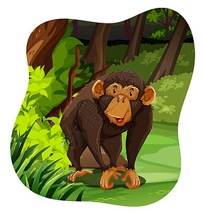 森林里猴子猴子森林野生动物哺乳动物绘画树木风景白色热带丛林卡通片设计图片
