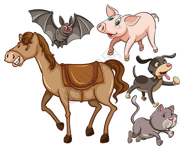 异国情调的猫动物小马异国热带情调收藏野生动物犬类食肉生物绘画设计图片