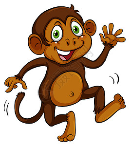 顽皮的棕色猴子人猿灵长类森林山魈侏儒桔梗动物哺乳绘画鼻子设计图片