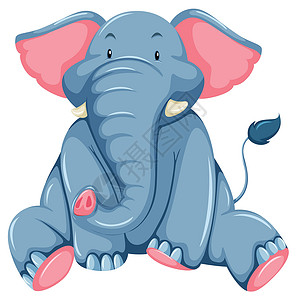象牙芒年轻的大象森林草食性长鼻动物陆地象牙哺乳动物白色荒野蓝色设计图片