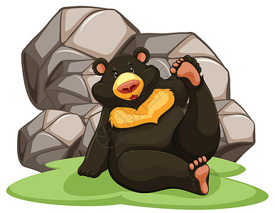 黑色的熊黑熊捕食者动物动物园异国生物卡通片濒危岩石野生动物白色设计图片