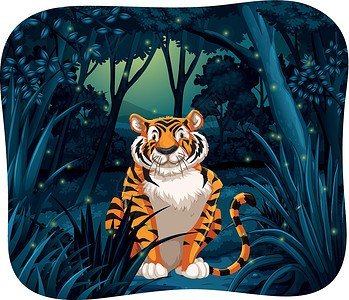 森林老虎老虎萤火虫哺乳动物微笑墙纸森林动物生物绘画丛林卡通片设计图片