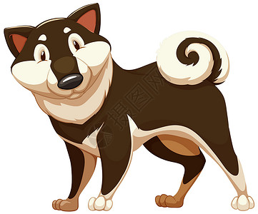 超萌狗狗一可爱的棕色做猎犬动物白色伴侣家犬肌肉绘画男人宠物忠诚设计图片