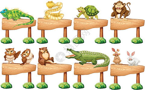 与蛇共舞与不同的野生动物的木牌设计图片
