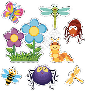 野生蜘蛛用鲜花和 bug 设置的贴纸设计图片