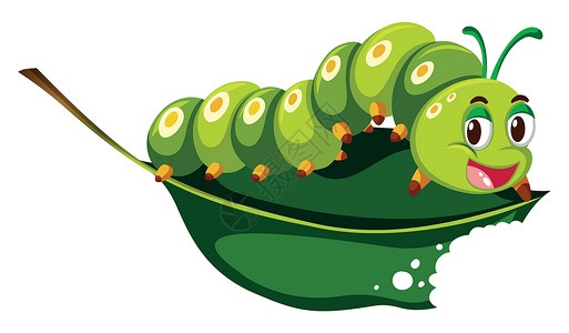好饿的毛毛虫可爱的毛毛虫咀嚼绿叶设计图片