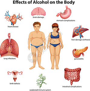 可视对讲系统酒精对身体的影响插图缺陷女士夹子并发症脑损伤感染艺术男人器官设计图片