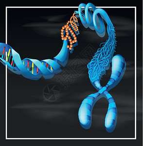 基因剪贴画DNA 背景模板剪贴生物学遗传夹子生物艺术绘画科学化学药品设计图片