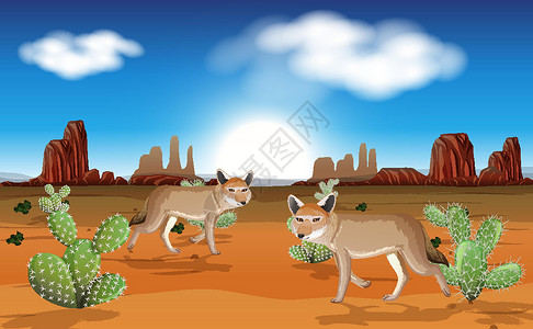 西沽公园沙漠与岩石山脉和土狼景观在白天场景设计图片
