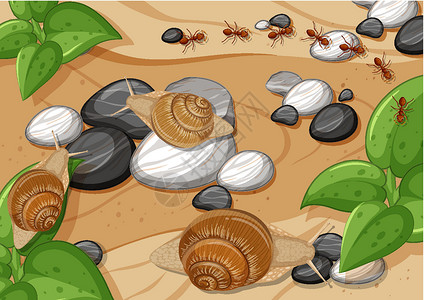 用石头砸死用许多蜗牛和蚂蚁特写空中场景设计图片