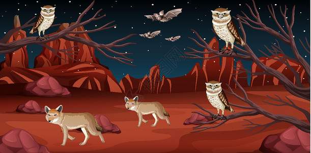 西部穴居猫头鹰有岩石山的沙漠和沙漠动物风景在夜景岩石黑暗动物群植物石头荒野旅行卵石土狼卡通片设计图片
