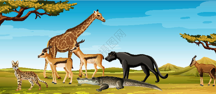 荒野猎人森林场景中的一群野生非洲动物大草原猎人生活植物天空卡通片公园捕食者荒野插图设计图片