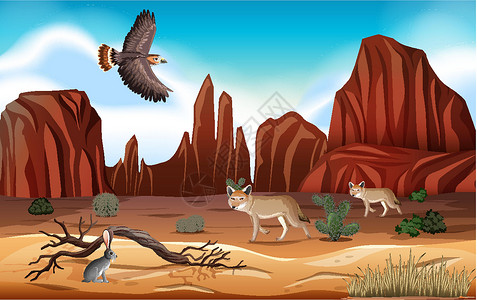 白尾鹰捕食沙漠与岩石山脉沙漠动物景观在白天场景干旱卡通片风景生物旅行动物群天气荒野插图岩石设计图片