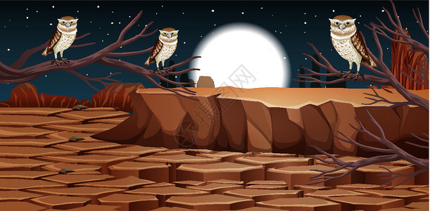 西沽公园有岩石山的沙漠和沙漠动物风景在夜景假期动物群天空岩石黑暗场景干旱绘画卵石卡通片设计图片