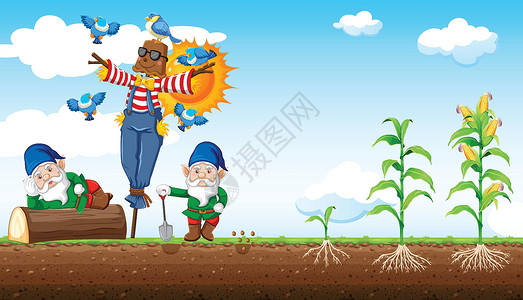 乡村童年素材侏儒和稻草人卡通风格与玉米农场和天空背景设计图片