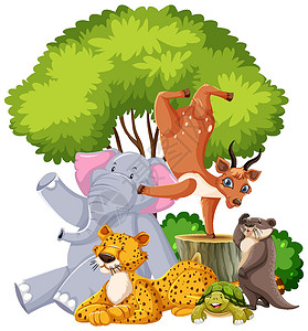 一群大象一群野生动物分离物设计图片