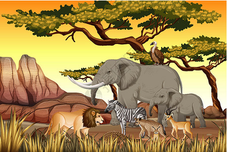 动物斑马森林场景中的非洲野生动物群捕食者野生动物插图生物狮子荒野猎人斑马风景环境设计图片