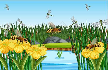 早有蜻蜓特写花叶场景 有许多蜜蜂和蜻蜓设计图片