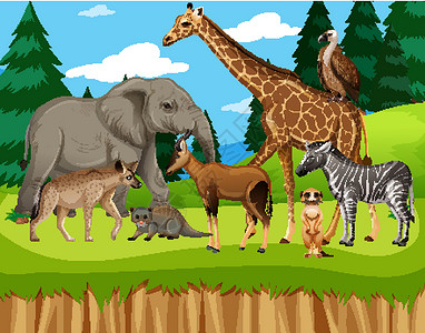 荒野猎人动物园场景中的一群野生非洲动物哺乳动物野生动物生物天空食肉卡通片猎人植物场地荒野设计图片