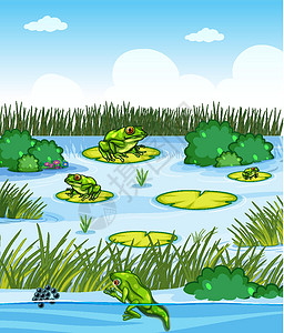 青蛙跳有许多青蛙和植物元素的池塘场景设计图片